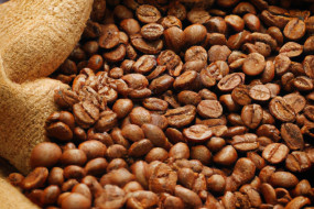 The Ultimate Guide to Coffee Beans - Varieties, Roasting Levels, and Brewing Methods