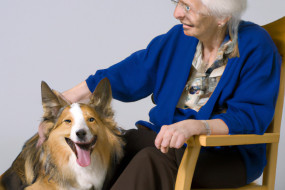 The Wonders of Animal-Assisted Therapy for Senior Citizens